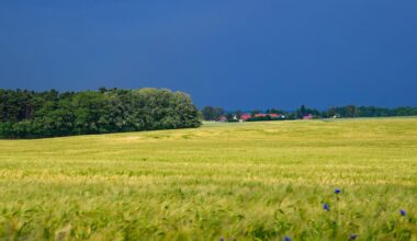 Wetter: Wechselhafter Start ins Wochenende in Berlin und Brandenburg