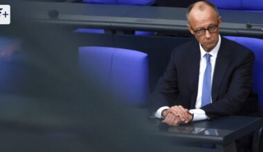 Drei unterschiedliche Bücher erklären Friedrich Merz