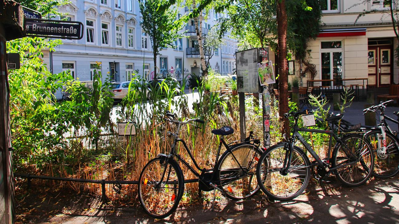 Steigende Mieten: Sogar Billstedt ist schon gentrifiziert