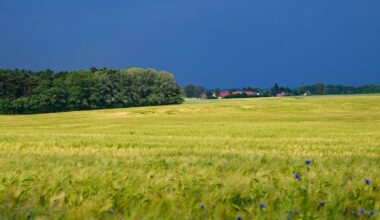 Dunkle Regenwolken ziehen über die Landschaft im Landkreis Märkisch-Oderland im östlichen Brandenburg (Quelle: DPA/Patrick Pleul)