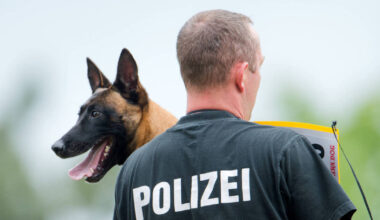 Mannheim: 66-jährige Frau wird nach Spaziergang vermisst - Polizeiberichte aus Rhein-Neckar-Odenwald