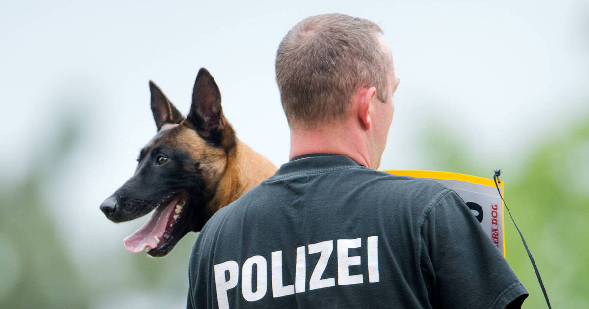 Mannheim: 66-jährige Frau wird nach Spaziergang vermisst - Polizeiberichte aus Rhein-Neckar-Odenwald