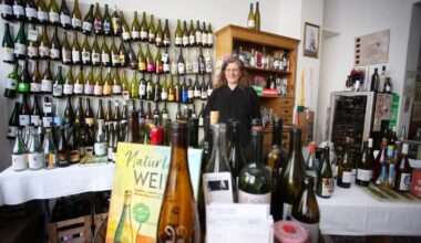 Weinanbau: Zurück zu den Wurzeln in Köln