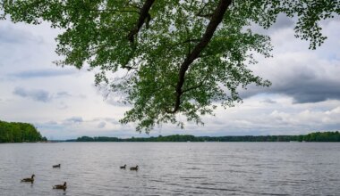 Wetter - Bedeckter Himmel in Berlin und Brandenburg erwartet - Panorama