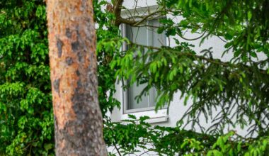 Hausdurchsuchung durch BKA: Mann aus Brandenburg soll russische Miliz unterstützt haben