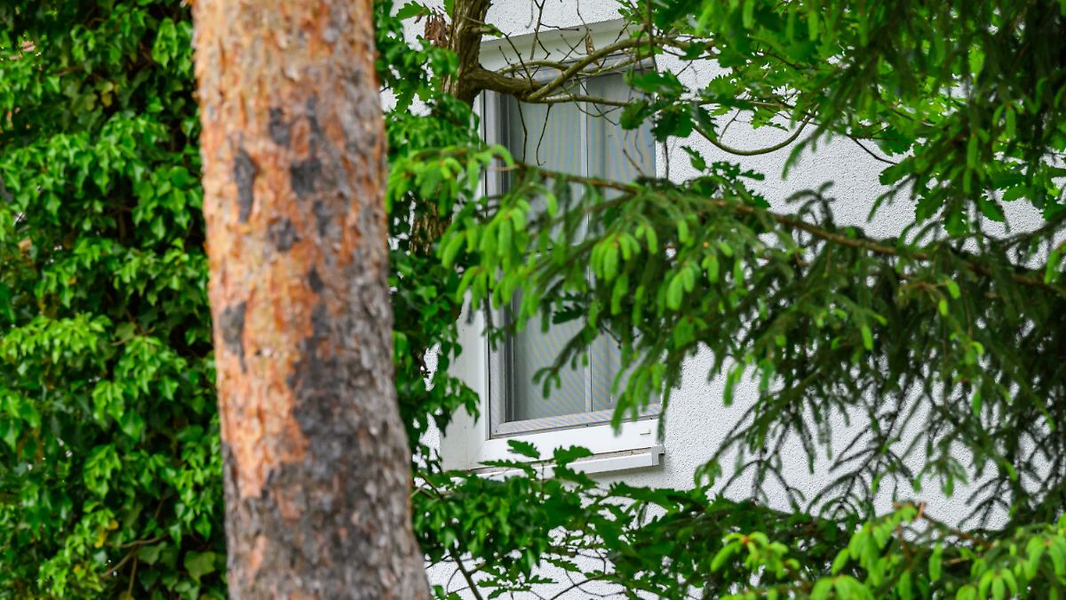 Hausdurchsuchung durch BKA: Mann aus Brandenburg soll russische Miliz unterstützt haben