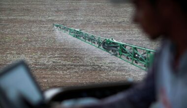Falls Vergleich scheitert: Bayer erwägt Insolvenz für Monsanto, um Glyphosat-Kläger loszuwerden