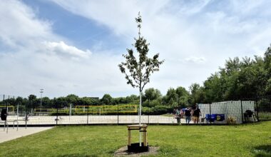 2024/2025 - Der Preußenbaum wurde im Rahmen der Saisonspende 22/23 gepflanzt