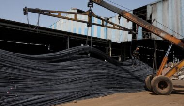 Indiens Handelsminister führt Delegation zu Gesprächen in die USA an