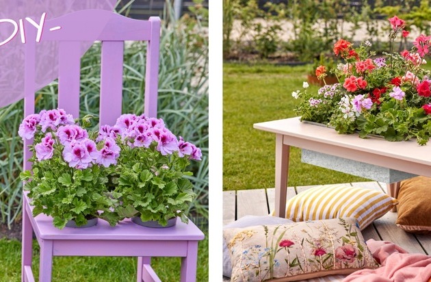 Außenbereiche kreativ und individuell gestalten: Blühende DIY-Möbel mit Geranien