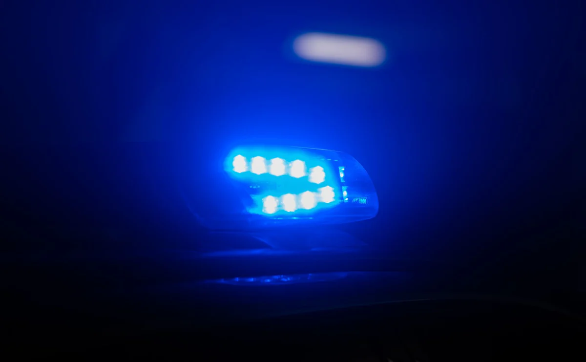 In Dresden - Betrunkener Autofahrer beißt und tritt Polizist - Panorama