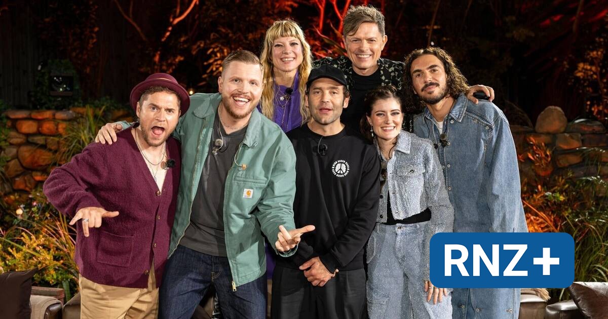 Vox-Show "Sing meinen Song": Mannheimer arrangiert Songs der Pop-Elite für andere Stars um - Kultur Regional