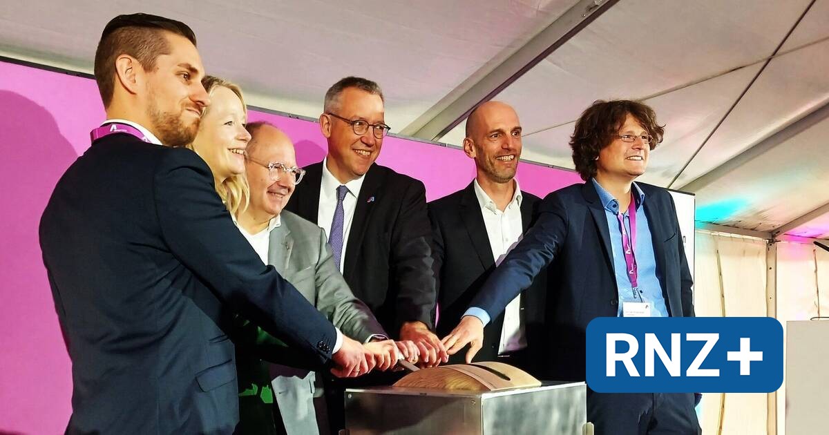 Mannheim: Umspannanlage in der Rheinau wird technisch aufgerüstet - Mannheim und Metropolregion Rhein-Neckar - Nachrichten und Aktuelles