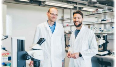 Zellbiologen der TU Dresden finden Schlafschalter im Gehirn
