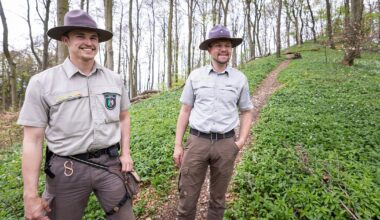 Achtung Verwechslungsgefahr! Bielefelder Ranger hat Tipps für das Bärlauch-Pflücken