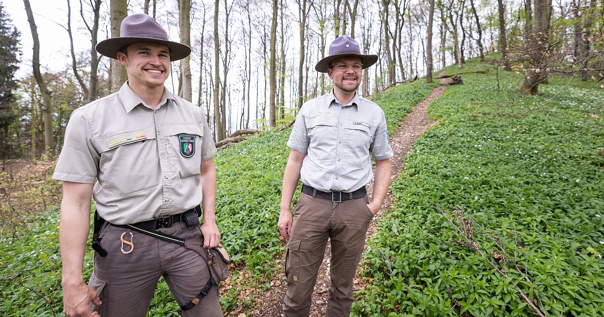 Achtung Verwechslungsgefahr! Bielefelder Ranger hat Tipps für das Bärlauch-Pflücken