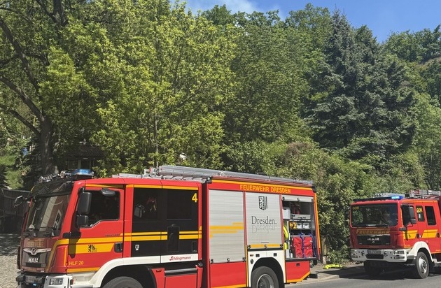 FW Dresden: Vegetationsbrand am Luftbad Dölzschen - rund 300 Quadratmeter Waldboden ...