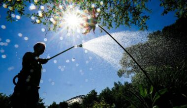 Region Hannover schränkt Bewässerung im Sommer erneut ein | Niedersachsen