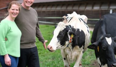 Bauernhof bei Gütersloh lädt heute zum Hoffest ein: So viele Aussteller wie noch nie