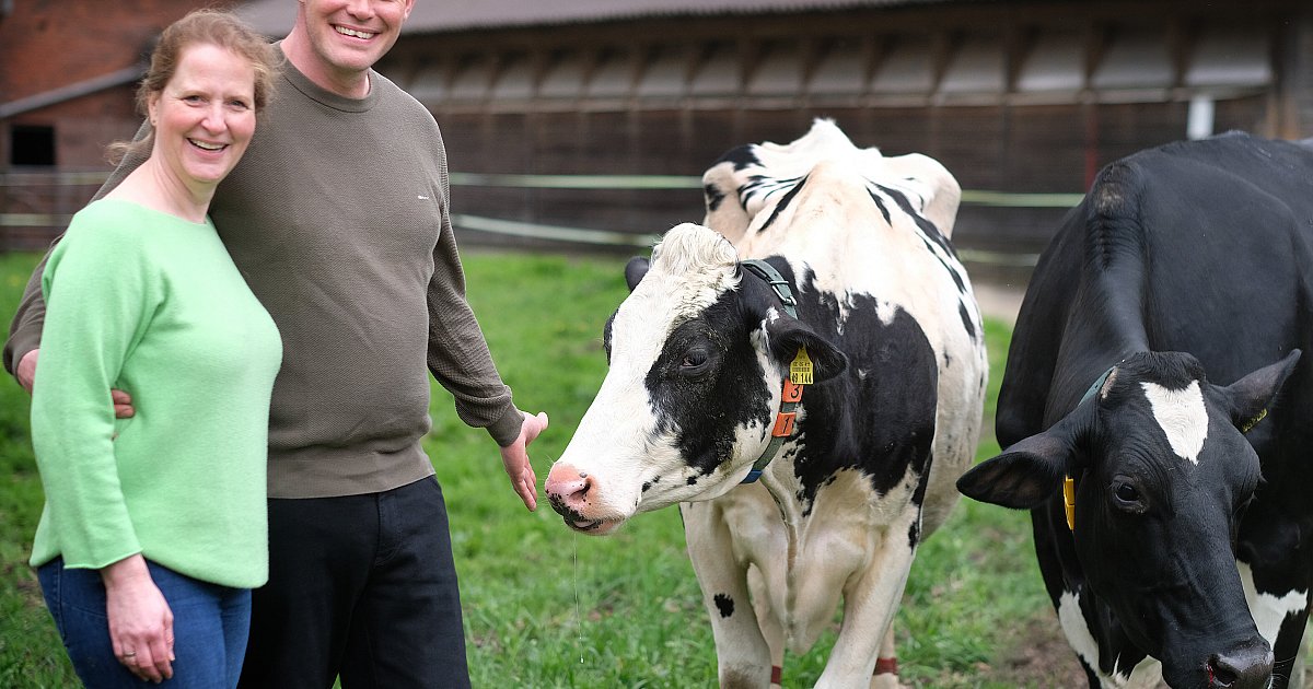 Bauernhof bei Gütersloh lädt heute zum Hoffest ein: So viele Aussteller wie noch nie