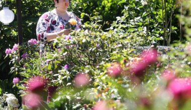 Am Gartenzaun: Räuberin reißt Bielefelder Seniorin Goldkette vom Hals und flüchtet