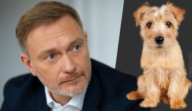 Christian Lindner: Unfalldrama! Er fuhr Hund von Star-Produzent tot | Unterhaltung