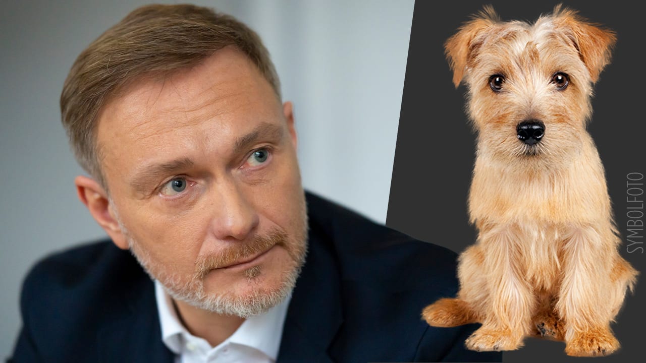 Christian Lindner: Unfalldrama! Er fuhr Hund von Star-Produzent tot | Unterhaltung