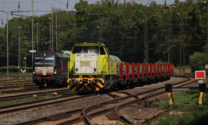 275904 290425 001