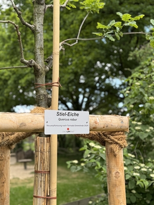 © Stadt Lippstadt