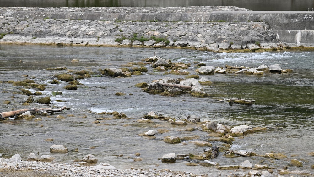 Die Fische haben deutlich weniger Raum als normalerweise.