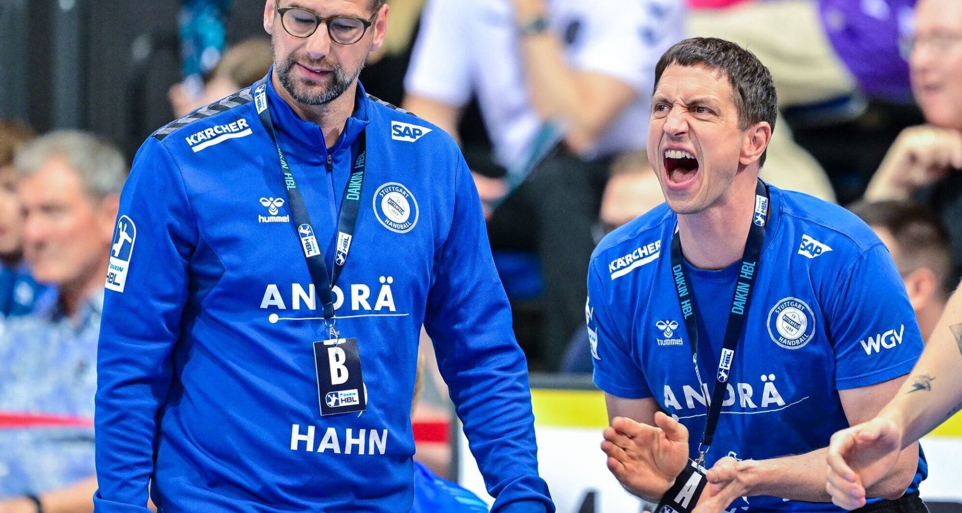 ZVW Plus Artikel