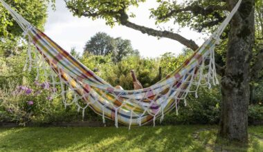 Ein Mann liest ein Buch in einer Hängematte (Symbolbild).