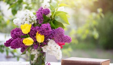 Ein Buch neben einer Blumenvase (Symbolbild)