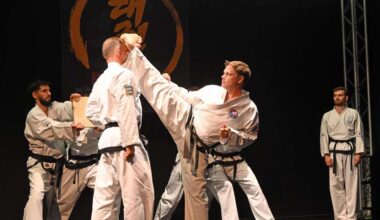 Taekwondo-Meister David Ippen zeigt Kampfkunst-Präsentation