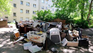 Ekel-Horror in Essen: Anwohner fing schon 47 Ratten | Regional