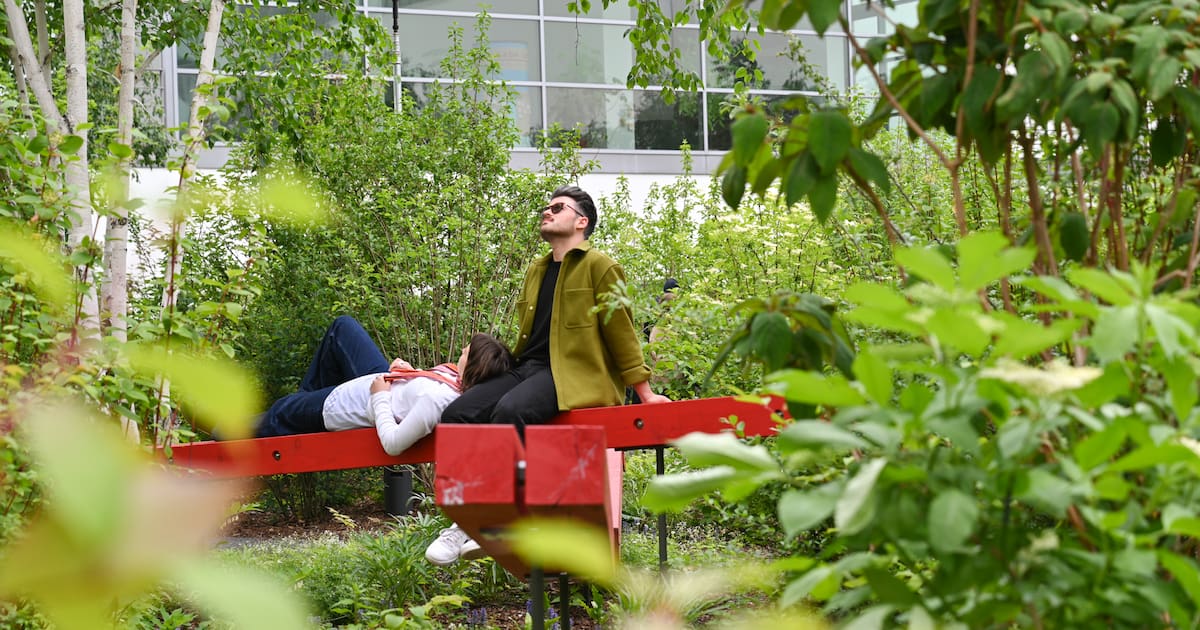 Hygienemuseum Dresden hat jetzt im Innenhof einen Garten