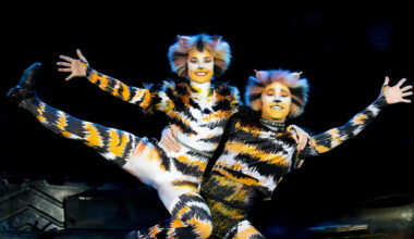 Erleben Sie CATS in Düsseldorf: VIP-Tickets gewinnen! | Sonstiges