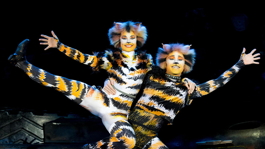 Erleben Sie CATS in Düsseldorf: VIP-Tickets gewinnen! | Sonstiges