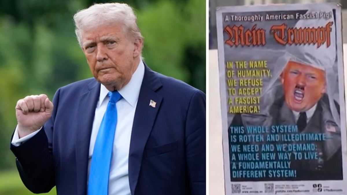 Widerstand gegen Kulturkampf: Yale-Professor: "Gibt keine Demokratie mehr in den USA"