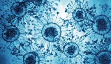 Forscher finden Ursprung von resistent machender Genmutation