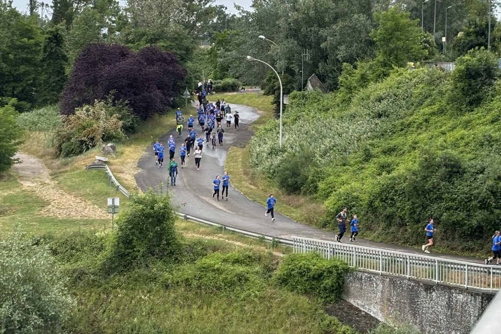 So hat unsere Autorin den grenzüberschreitenden Lauf "Run for Europe" bei Breisach erlebt - Breisach