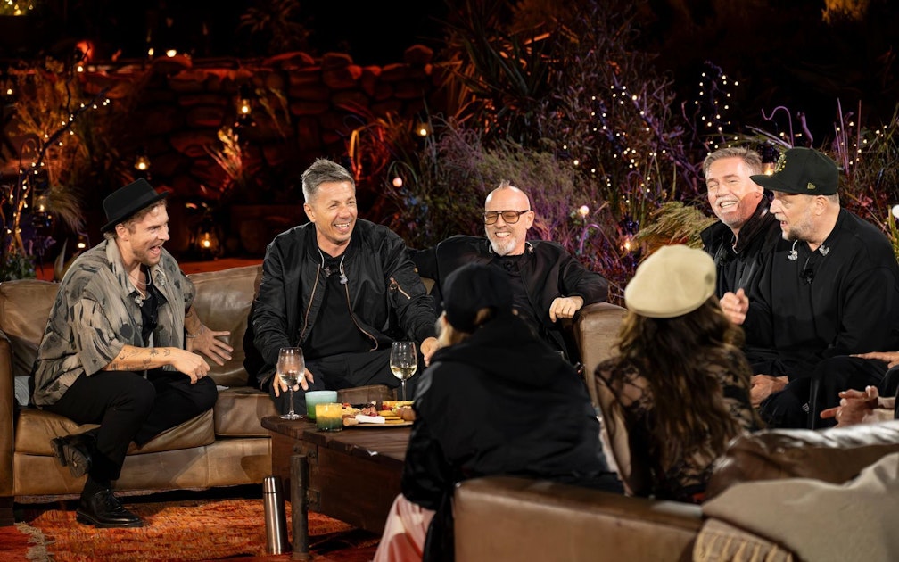Die Fantastischen Vier: Drogen-Beichte in aktueller TV-Show