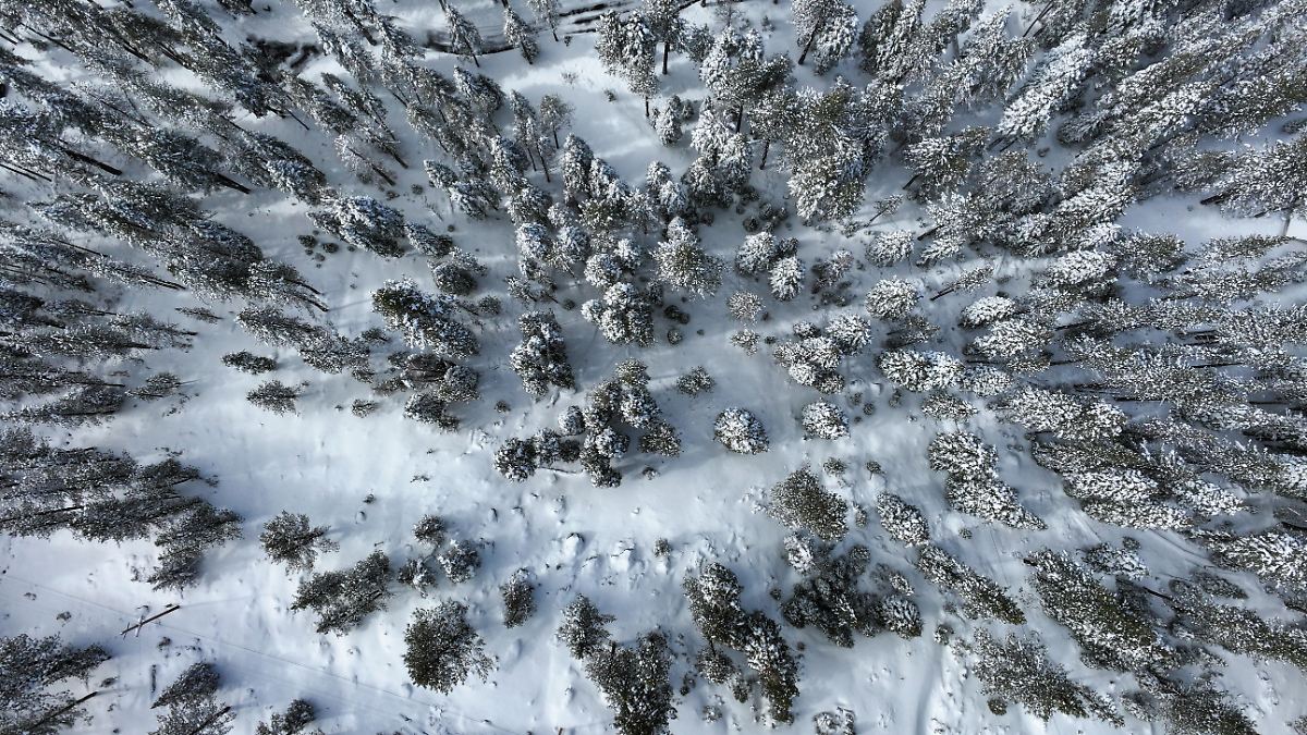 Vermisste Wanderin überlebt wochenlang in eisiger Wildnis: Nach Sturz von Klippe