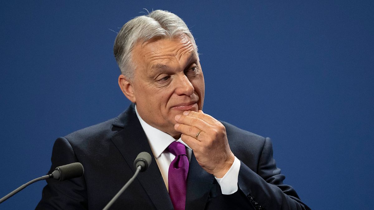 Orban will seine Gegner mit einem Schlag ausschalten - Putin dient als Vorbild
