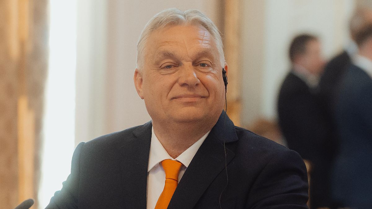 "Putinisierung" Ungarns: Orban-Regierung will schwarze Liste für NGOs einführen