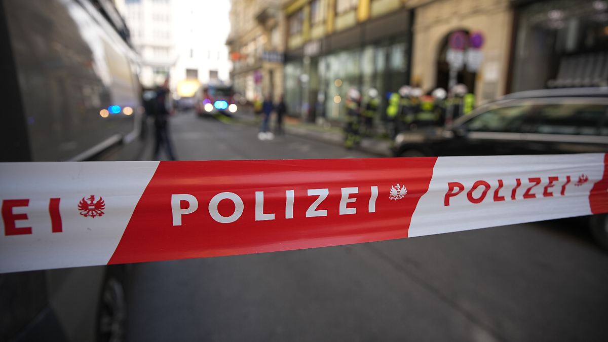 Ursula Poznanskis neuer Thriller im Wiener Milieu als Hörbuch - der reinste Nervenkitzel
