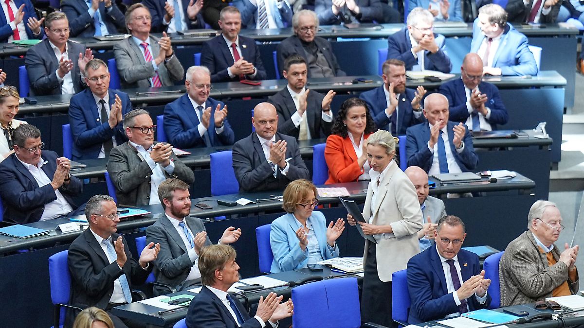 Interne Aufräumaktion: Das steckt hinter der neuen Russland-Strategie der AfD
