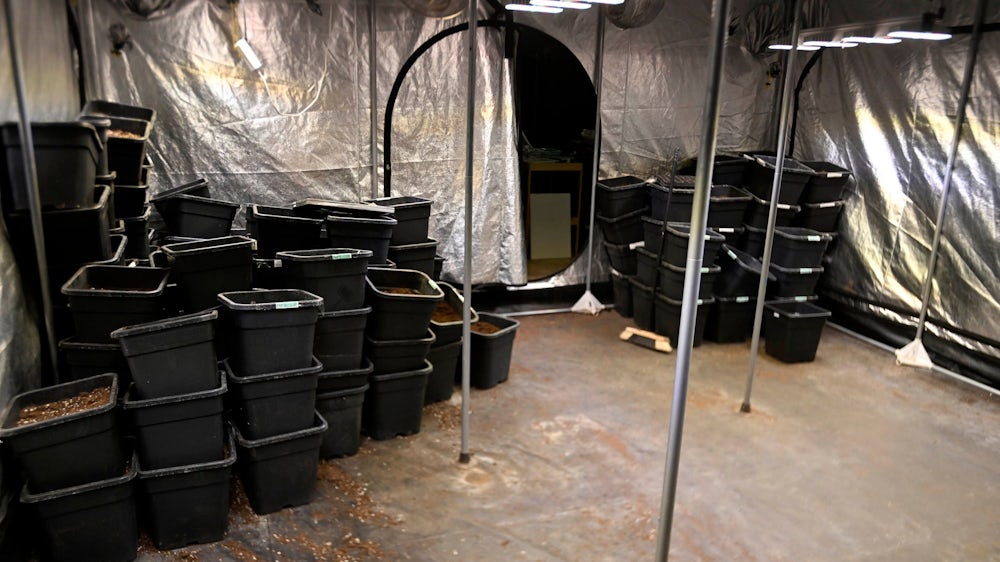 Der Hanf-Laden in Aschheim wird spätestens im August geschlossen. Ohne die Anzucht von Cannabis-Pflanzen lohnt sich das Geschäft nicht.