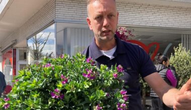 Veranstaltungen in Herten: Blumenmarkt und weitere Attraktionen