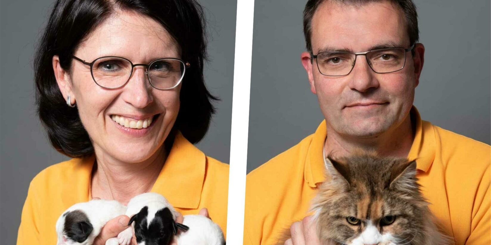 Tierärzte verkaufen Praxis an Konzern IVC Evidensia